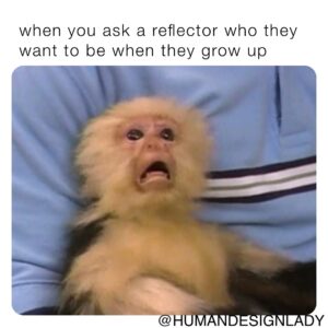 meme reflector